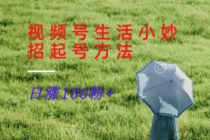视频号生活小妙招分享赛道， 起号涨粉新方法，日涨100粉-沧海聊项目
