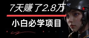 7天赚了2.8万！每单利润最少500+，轻松月入7万+小白有手就行-沧海聊项目