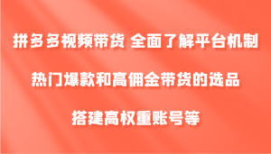 拼多多视频带货 全面了解平台机制、热门爆款和高佣金带货的选品,搭建高权重账号等-沧海聊项目