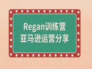 亚马逊流程全解析(Regan训练营)-沧海聊项目