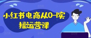 小红书电商从0-1实操运营课,小红书手机实操小红书/IP和私域课/小红书电商电脑实操板块等-沧海聊项目