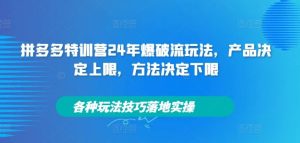 拼多多特训营24年爆破流玩法,产品决定上限,方法决定下限,各种玩法技巧落地实操-沧海聊项目