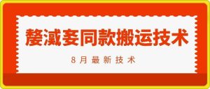 抖音96万粉丝账号【嫠㵄㚣】同款搬运技术-沧海聊项目