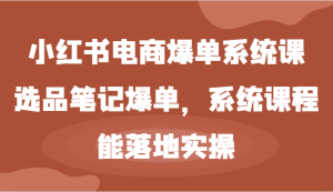 小红书电商爆单系统课-选品笔记爆单，系统课程，能落地实操-沧海聊项目