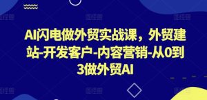 AI闪电做外贸实战课,外贸建站-开发客户-内容营销-从0到3做外贸AI(更新)-沧海聊项目