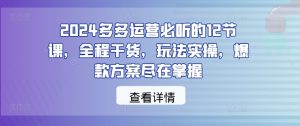 2024多多运营必听的12节课，全程干货，玩法实操，爆款方案尽在掌握-沧海聊项目
