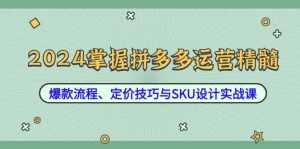 2024掌握拼多多运营精髓：爆款流程、定价技巧与SKU设计实战课-沧海聊项目