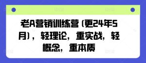老A营销训练营(更24年9月),轻理论,重实战,轻概念,重本质-沧海聊项目