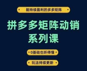拼多多矩阵动销系列课，能持续盈利的多多矩阵，0基础也听得懂，玩法持续更新-沧海聊项目