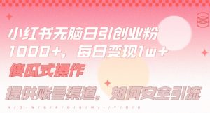 小红书无脑每日引流创业粉500+，小白每天只花半小时，躺赚长尾收益【揭秘】-沧海聊项目