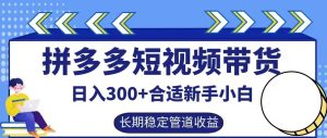 拼多多短视频带货日入300+有长期稳定被动收益，合适新手小白【揭秘】-沧海聊项目