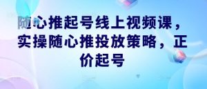 随心推起号线上视频课，实操随心推投放策略，正价起号-沧海聊项目