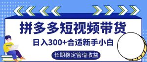 拼多多短视频带货日入300+,实操账户展示看就能学会-沧海聊项目