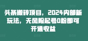 头条搬砖项目,2024内部新玩法,无风险起号0粉即可开通收益-沧海聊项目