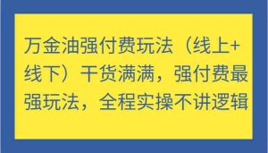 万金油强付费玩法(线上+线下)干货满满,强付费最强玩法,全程实操不讲逻辑-沧海聊项目