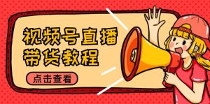 视频号直播带货教程:选品思路与话术拆解/掌握多种带货套路/提升直播效果-沧海聊项目