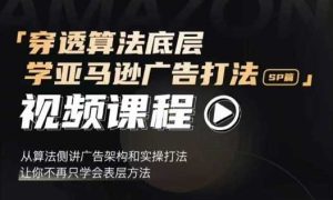 穿透算法底层,学亚马逊广告打法SP篇,从算法侧讲广告架构和实操打法,让你不再只学会表层方法-沧海聊项目