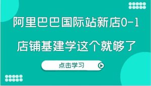 阿里巴巴国际站新店0-1，个人实践实操录制从0-1基建，店铺基建学这个就够了-沧海聊项目