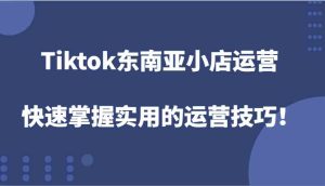 Tiktok东南亚小店运营，快速掌握实用的运营技巧！-沧海聊项目