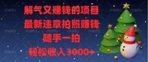 （13686期）解气又赚钱的项目，最新违章拍照赚钱，随手一拍，轻松收入3000+-沧海聊项目