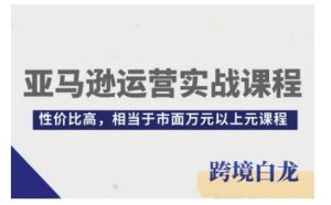 亚马逊运营实战课程，亚马逊从入门到精通，性价比高，相当于市面万元以上元课程-沧海聊项目