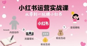小红书运营实战课,从零到一玩賺小红书-沧海聊项目