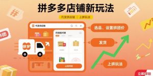 拼多多店铺新玩法,代发供应链上拼玩法-沧海聊项目