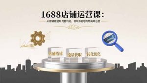 1688店铺运营课：从店铺搭建到流量转化，实现B端电商的高效运营-沧海聊项目