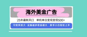 最新海外广告美金，全自动挂机，单机单日500+，可矩阵放大，新手小白轻…-沧海聊项目