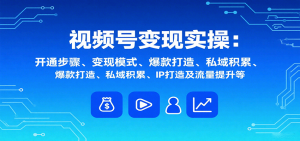 视频号变现实操,含开通步骤、变现模式、爆款打造、私域积累、IP打造及流量提升等-沧海聊项目