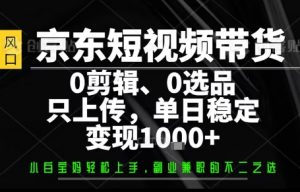 你出账号,我来运营,保底日入1k+,开启躺賺模式【揭秘】-沧海聊项目