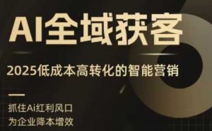 AI全域获客实训营,2025低成本高转化的智能营销,精准找客,高效营销-沧海聊项目