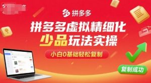 拼多多虚拟精细化少品玩法实操,小白0基础轻松复制-沧海聊项目