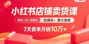 小红书店铺卖货课：商城入驻+选爆品+爆文模板，7天首单月销10万+-沧海聊项目