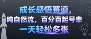 成长感悟赛道，纯自然流，百分百起号率 一天轻松多张-沧海聊项目