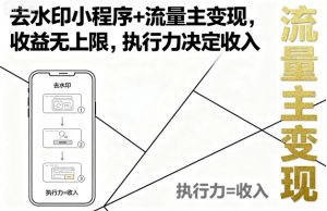 去水印小程序+流量主变现，收益无上限，执行力决定收入-沧海聊项目
