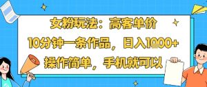 女粉玩法：高客单价，10分钟一条作品，日入1k+操作简单，手机就可以-沧海聊项目