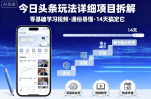 今日头条玩法详细项目拆解,零基础学习视频 通俗易懂 14天搞定它-沧海聊项目