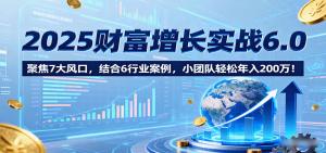 2025财富增长实战6.0,聚焦7大风口,结合6行业案例,小团队轻松年入200万!-沧海聊项目