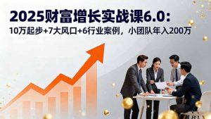 2025财富增长实战课6.0:10万起步+7大风口+6行业案例,小团队年入200万-沧海聊项目