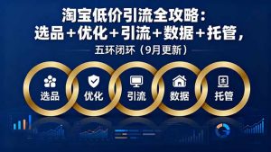 淘宝低价引流全攻略:选品+优化+引流+数据+托管,五环闭环(9月更新-沧海聊项目