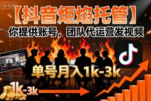 【抖音炬焰托管】你提供账号，团队代运营发视频，单号月入1k+【揭秘】-沧海聊项目