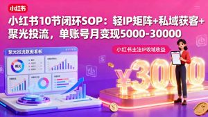 小红书10节闭环SOP:轻IP矩阵+私域获客+聚光投流,单账号月变现5000-30000-沧海聊项目