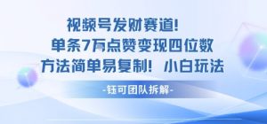 视频号发财赛道单条7W点赞变现四位数方法简单易复制小白玩法-沧海聊项目
