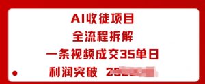 AI收徒项目全流程拆解一条视频成交35单日利润突破1k+-沧海聊项目
