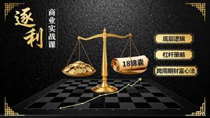《逐 利》商业实战课，底层逻辑、杠杆策略、18锦囊，跨周期财富心法-沧海聊项目