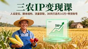 三农IP变现课，人设定位、脚本结构、流量获取，30天打造月入5万+带货账号-沧海聊项目