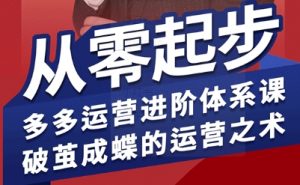 拼多多运营进阶系统课，从零起步，多多运营进阶体系课，破茧成蝶的运营之术(更新9月)-沧海聊项目
