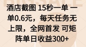 酒店截图15秒一单，一单0.6米，每天任务无上限，全网首发可矩阵单日收益3张【揭秘】-沧海聊项目