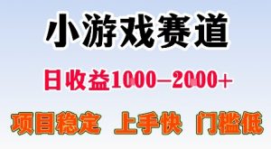 最新小游戏赛道，日收益1k-2k+，项目稳定上手快门槛低，在家就可以自己创业【揭秘】-沧海聊项目